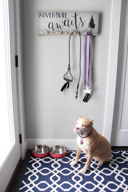 Adventure Awaits Dog Leash Hanger DIY Project from Paper Riot Co.